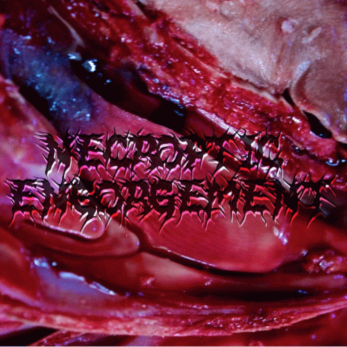 Necroptic Engorgement : Demo 2011​-​2012